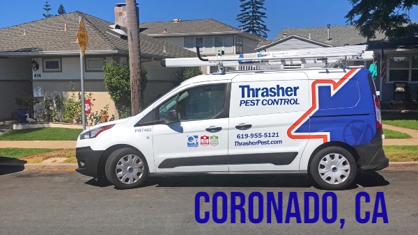 Pest Control Service in Coronado, CA - Thrasher Pest Control
